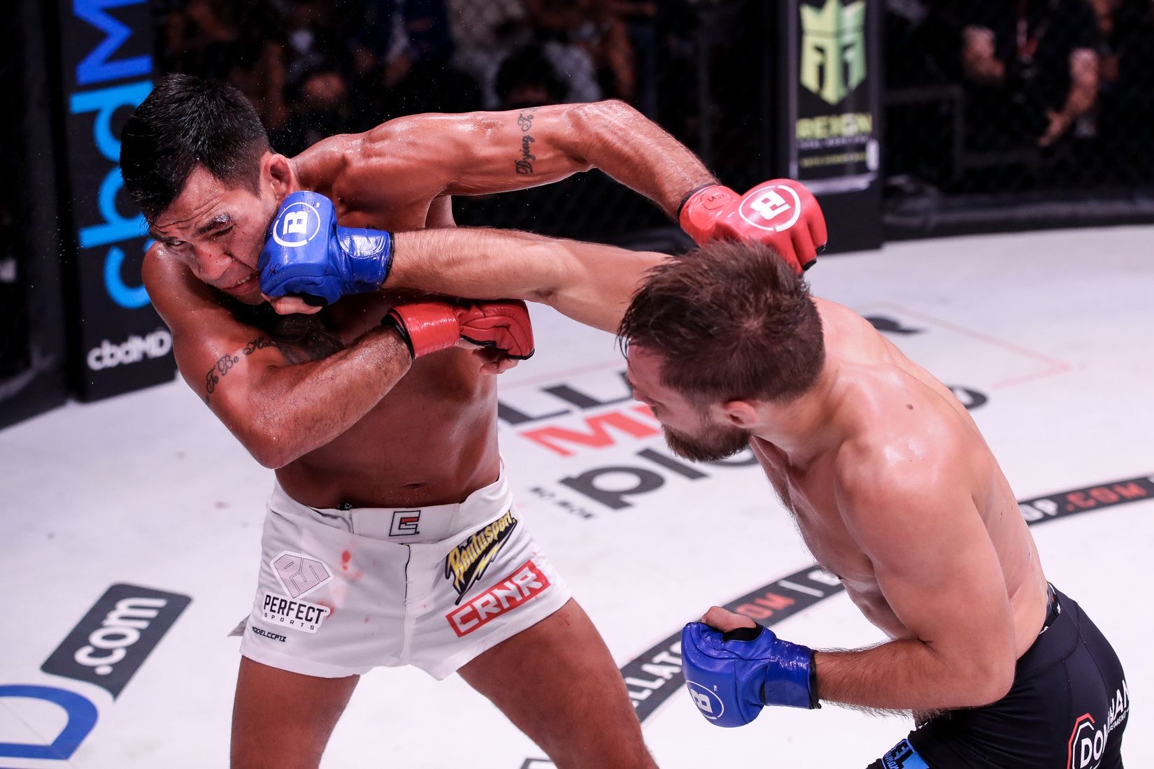 Mads Burnell, nuværende PFL-Fighter, tidligere UFC og Bellator-fighter, medstifter af Burnell MMA & BJJ, træner i MMA, BJJ.